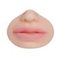 Masturbateur Vagin et Bouche Pussy Lips