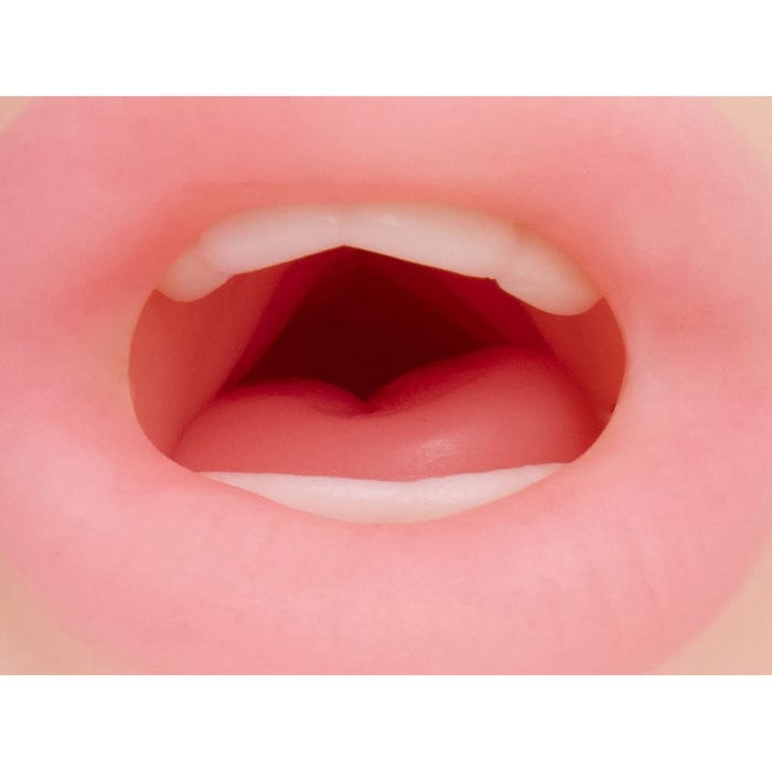 Masturbateur Vagin et Bouche Pussy Lips