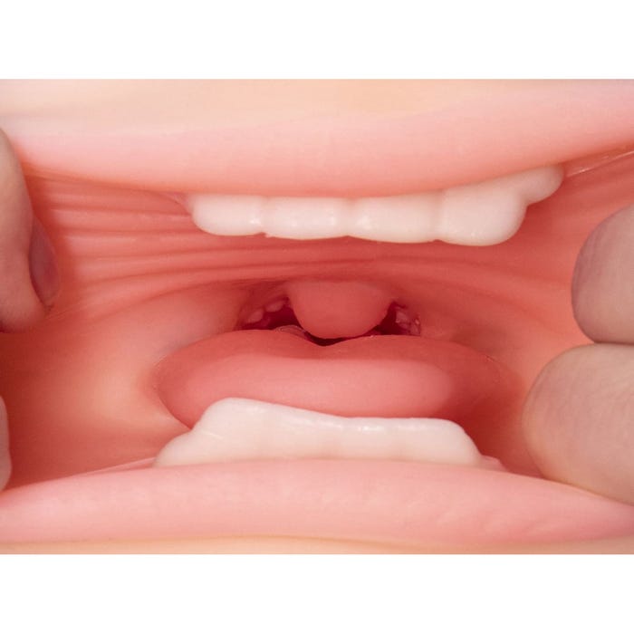 Masturbateur Vagin et Bouche Pussy Lips