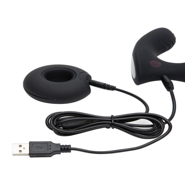 Stimulateur prostatique Mantric