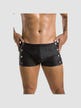 Boxer David noir
