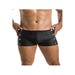 Boxer David noir