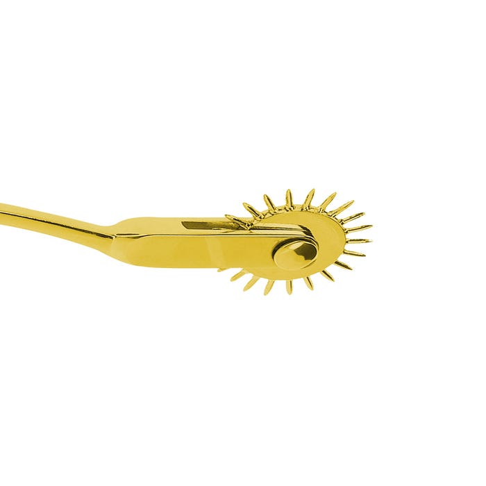 Roulette de Wartenberg Bondage in Luxury