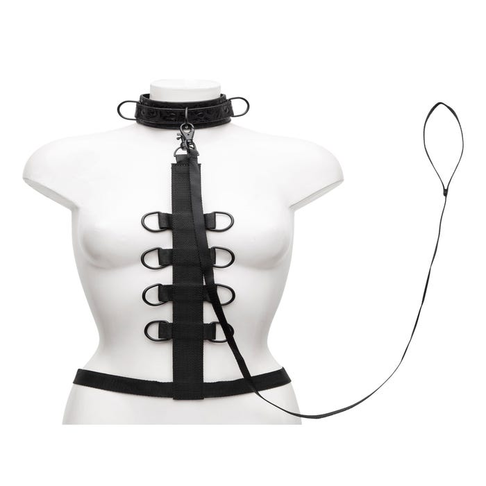 Kit d'attaches harnais Black Rose