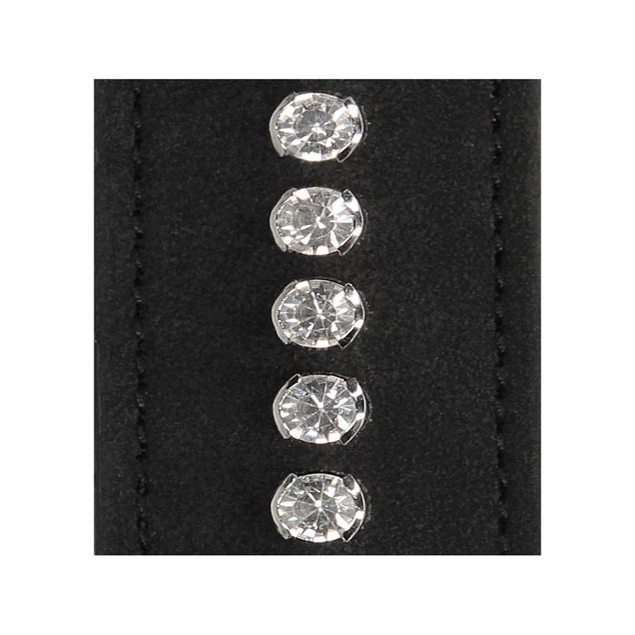 Collier et laisse Diamond Studded