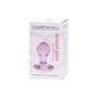 Plug anal en verre Sensual Glass coeur small