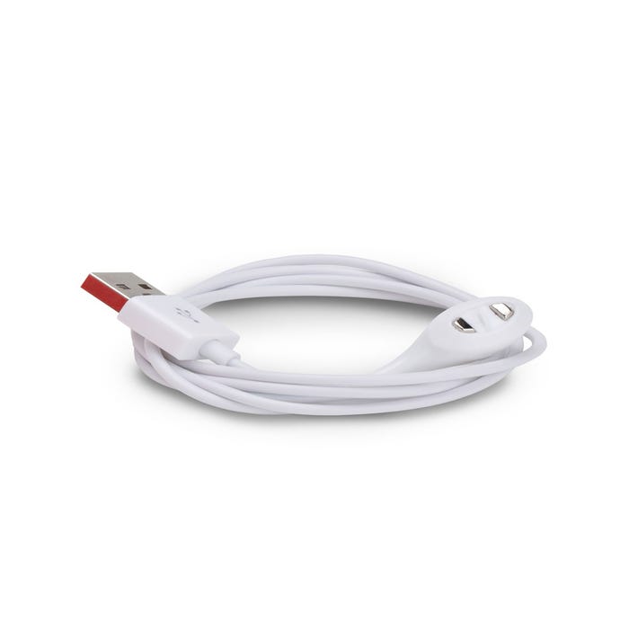 Câble de chargement USB magnétique We-Vibe