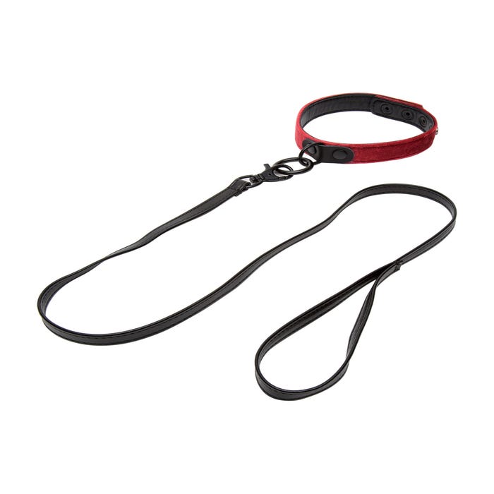 Kit d'attache collier et menottes Ruby 3 pièces