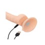 Vibromasseur va-et-vient télécommandé 20,3 cm Luxe Lifelike Lover