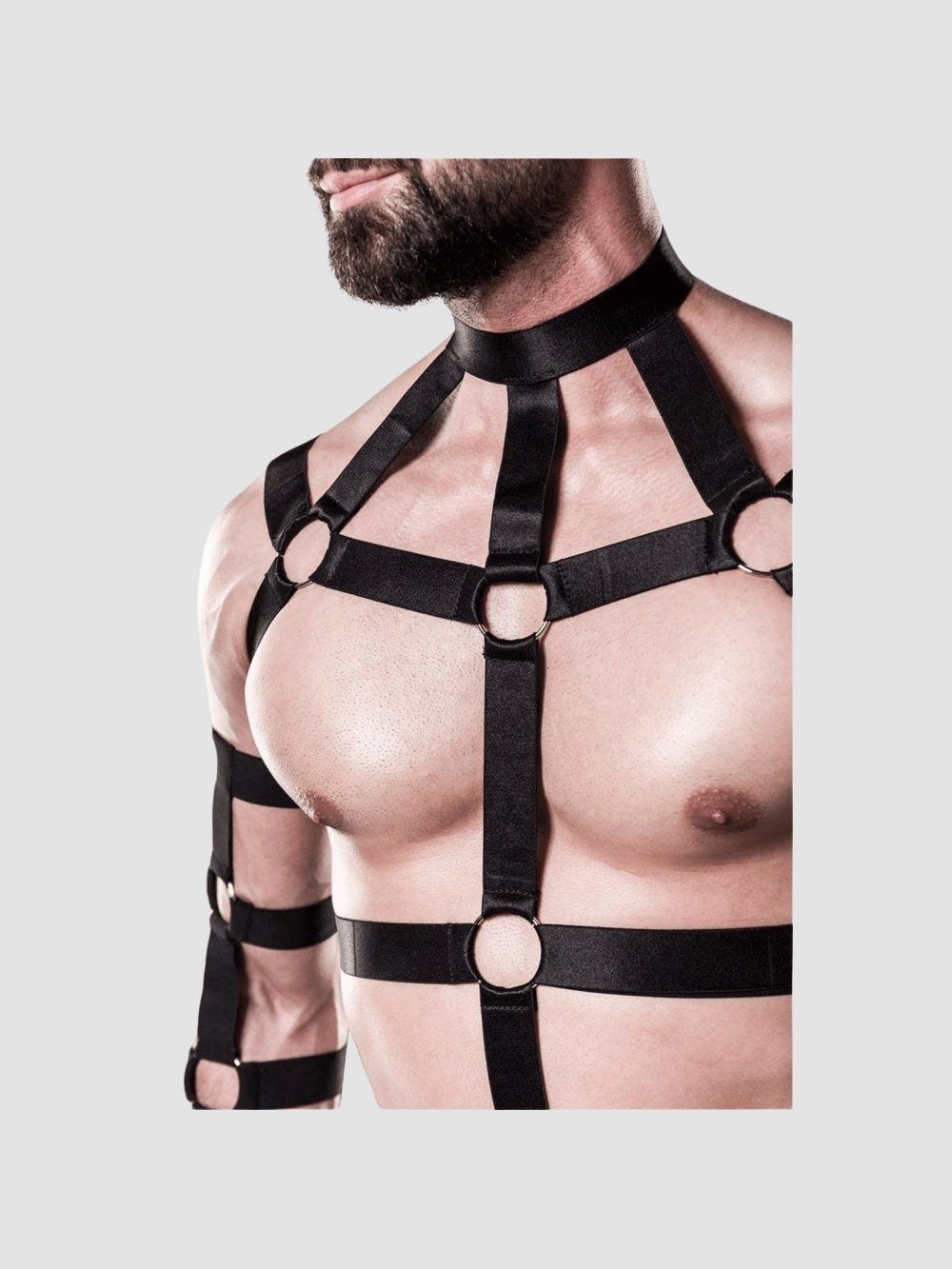 Harnais 2 pièces 20050 Dominant noir