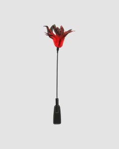 Cravache et Plumeau Feather Slapper