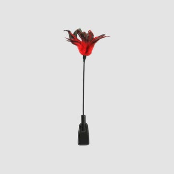 Cravache et Plumeau Feather Slapper