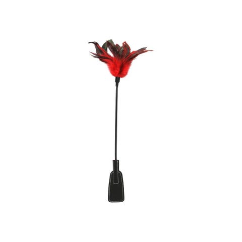 Cravache et Plumeau Feather Slapper