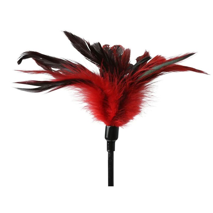 Cravache et Plumeau Feather Slapper