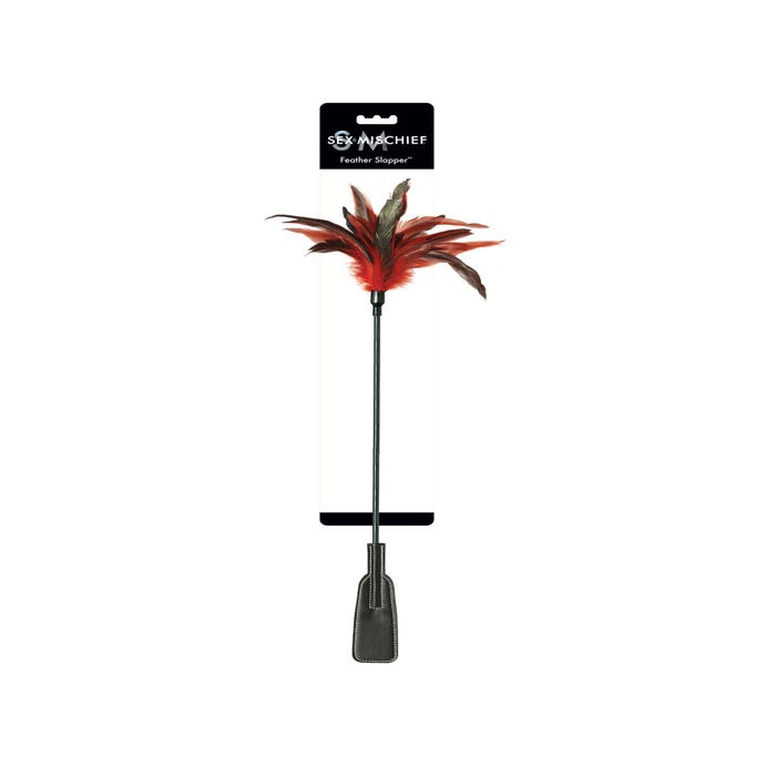Cravache et Plumeau Feather Slapper