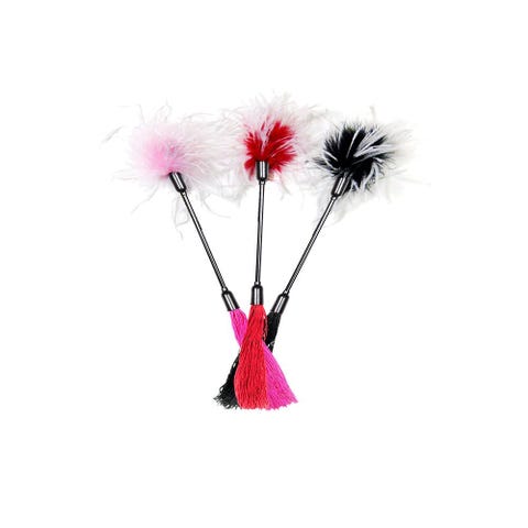 Plumeau Whip & Tickle