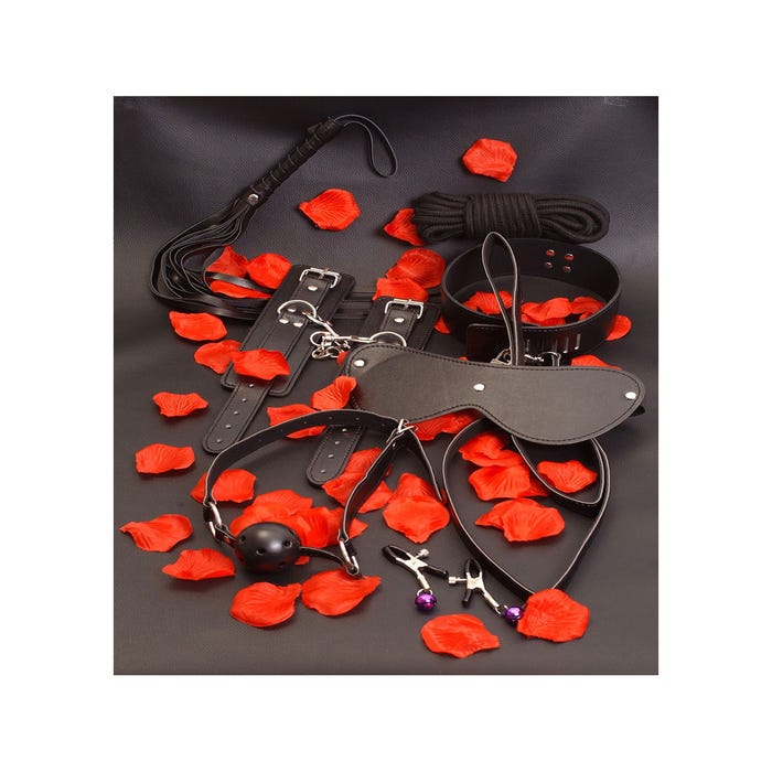 Coffret BDSM pour Débutants