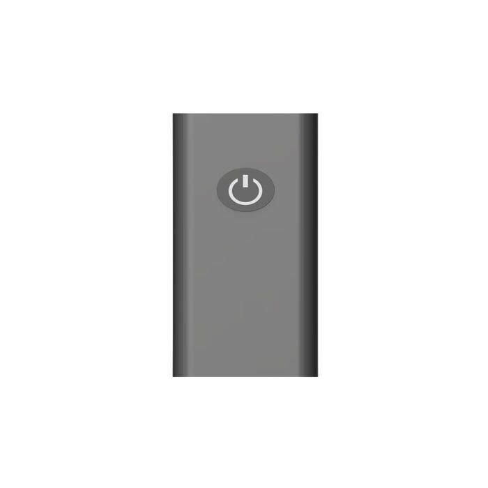 Plug Anal Vibrant Télécommandé Ace