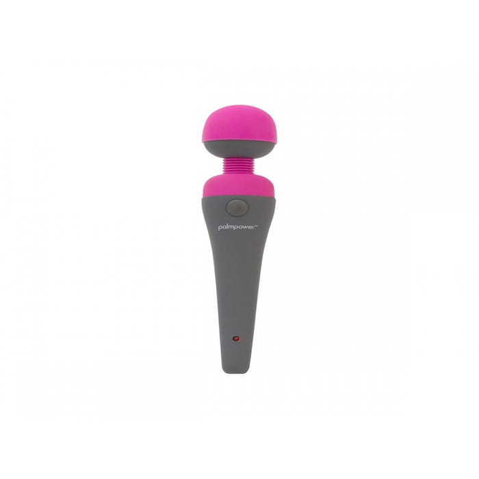 Stimulateur Wand PalmPower