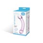 Dildo en Verre Double Trouble Violet