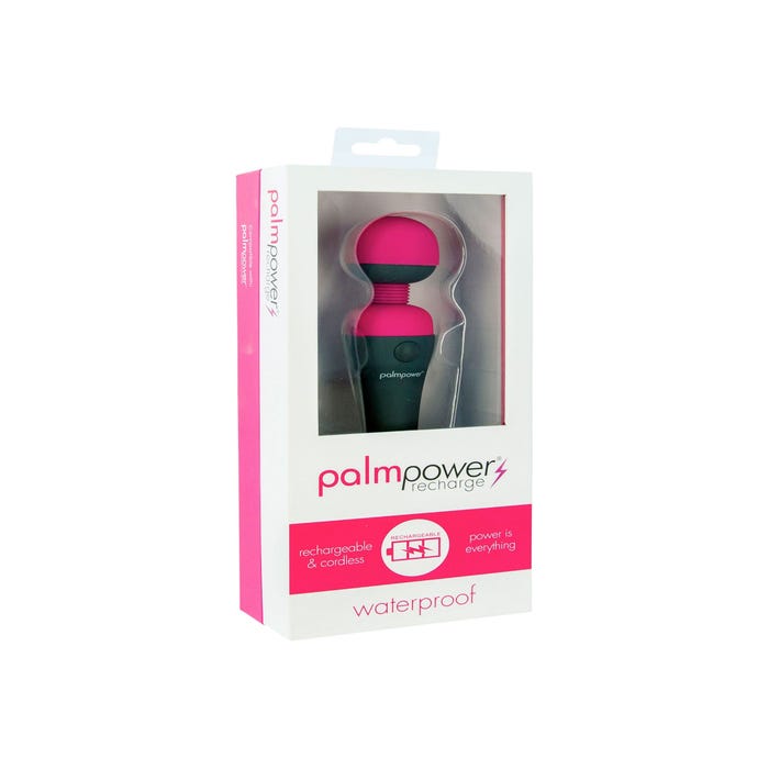 Stimulateur Wand PalmPower Recharge