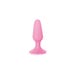 Plug Anal Ventouse First Plug Small