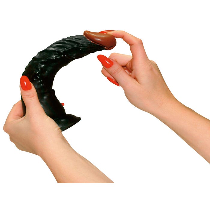 Gode Ventouse World of Dongs 23 cm