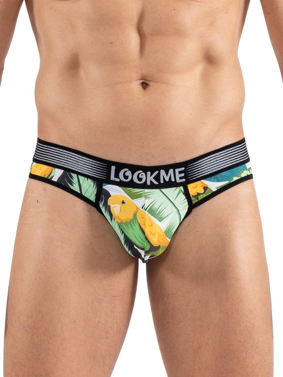 Tanga Bird Singer M