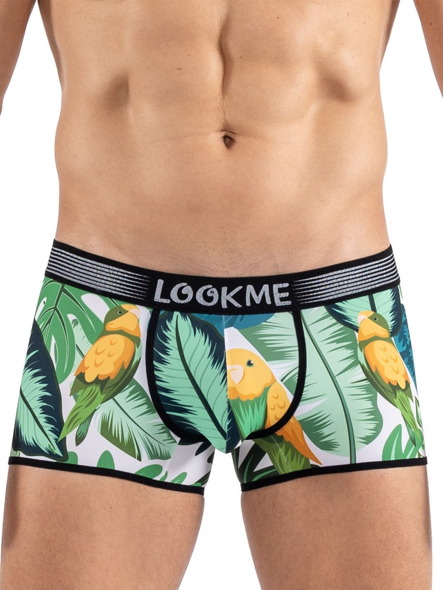 Boxer Bird Singer main product photo