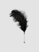 Plumeau Plume Noire