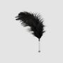 Plumeau Plume Noire