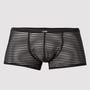 Boxer transparent rayures noir