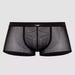 Boxer transparent noir