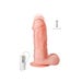 Vibromasseur Ventouse Réaliste Magic Ram