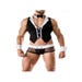 Costume Domestique