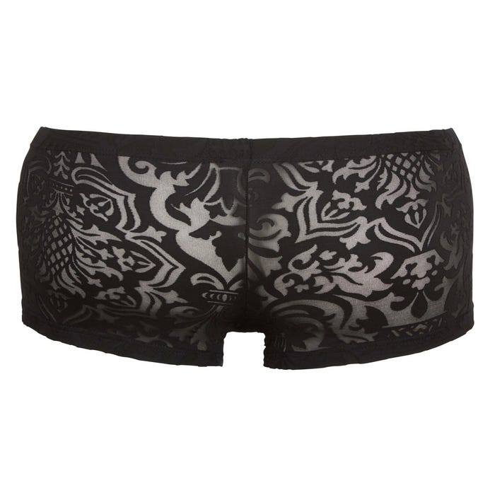 Boxer Noir Baroque