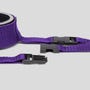 Kit d'attache hogtie Purple Reins