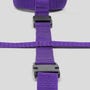 Kit d'attache hogtie Purple Reins