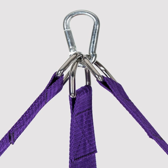 Balançoire sexuelle Purple Reins