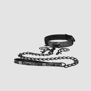 Collier, Laisse & Pinces à Seins