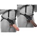 Gode Ceinture Hollow Strap-On 28 cm King Cock
