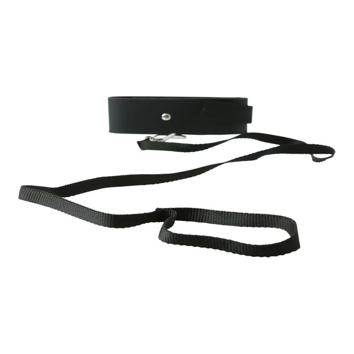 Collier & Laisse S&M