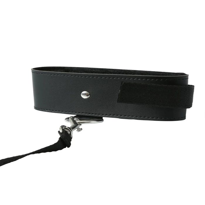 Collier & Laisse S&M