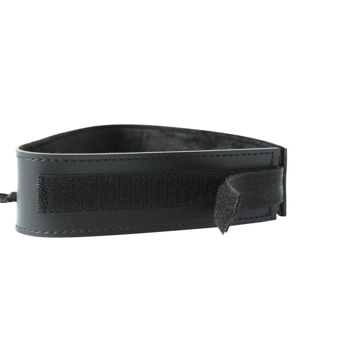 Collier & Laisse S&M