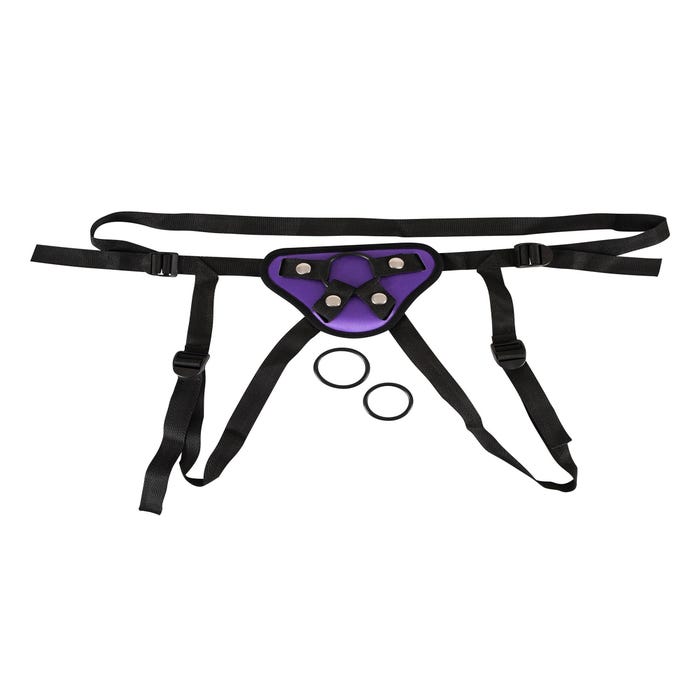 Harnais Universel Violet