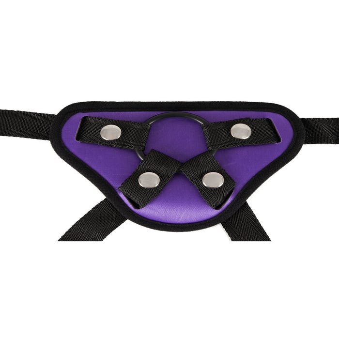 Harnais Universel Violet