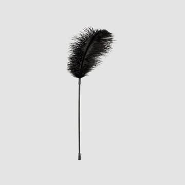Grand Plumeau Noir Plume