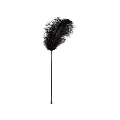 Grand Plumeau Noir Plume
