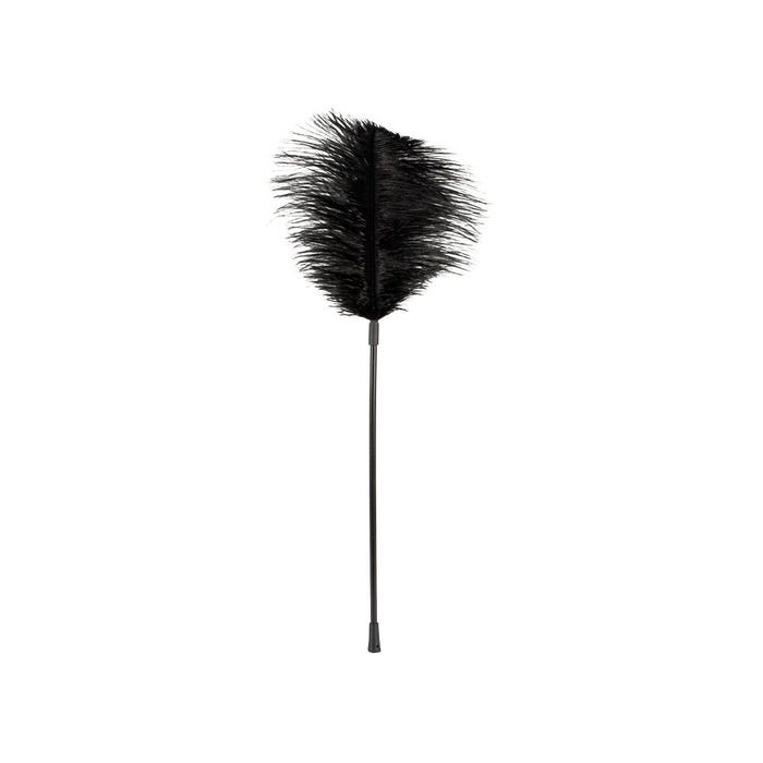 Grand Plumeau Noir Plume