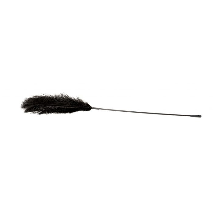 Grand Plumeau Noir Plume